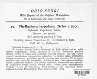 Image Associated With the Occurence